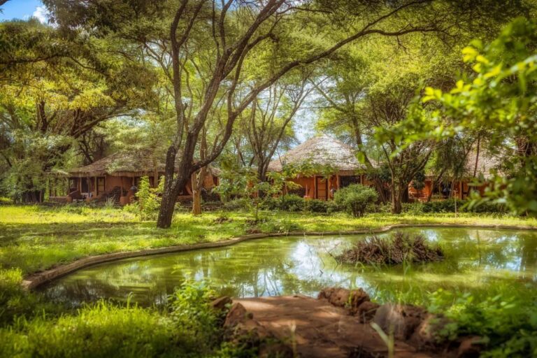 Un estanque en un jardín de acacias, delante de edificios con techos de paja