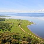 Vista desde lo alto de Baboon Cliff sobre la orilla del lago, con una pista que bordea una pradera verde salpicada de animales, bosques de acacias y el lago hasta las colinas
