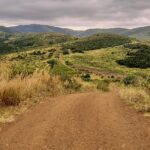Una pista de tierra roja baja entre hierbas altas y doradas hacia colinas verdes que se suceden hasta el horizonte bajo un cielo gris