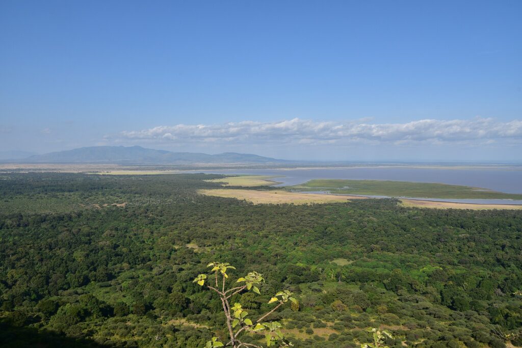 Vista desde lo alto del escarpe sobre el bosque verde, la llanura y el lago Manyara a lo lejos
