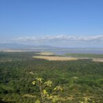 Vista desde lo alto del escarpe sobre el bosque verde, la llanura y el lago Manyara a lo lejos