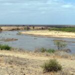 El río Galana, ancho y pardo, traza una curva entre bancos de arena clara y arbustos, bajo un cielo velado
