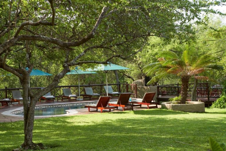 La piscina del Grand Kruger Lodge en un jardín con sombra, rodeada de tumbonas de madera y sombrillas turquesa