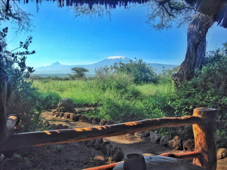 La cumbre nevada del Kilimanjaro sobre la sabana verde, detrás de una valla de madera