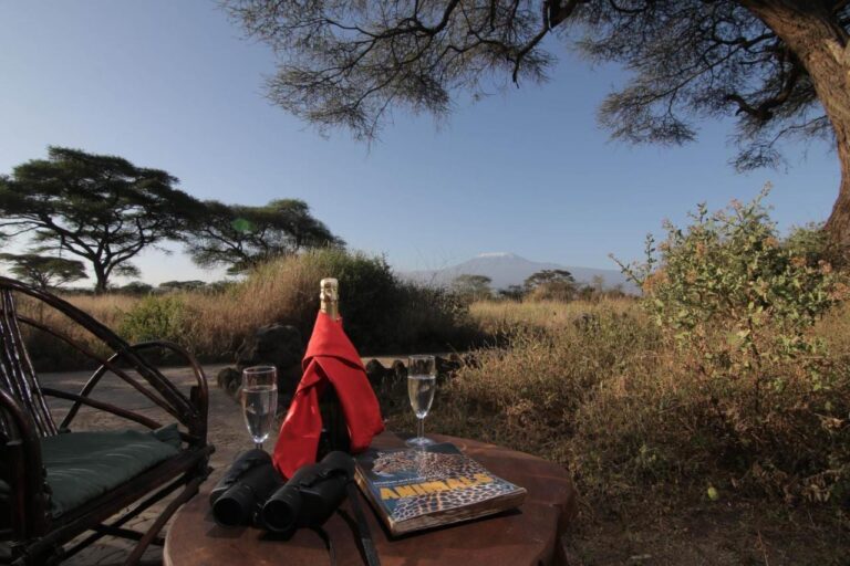 Unos binoculares, un libro sobre animales y dos copas sobre una mesa, frente a las acacias y al Kilimanjaro