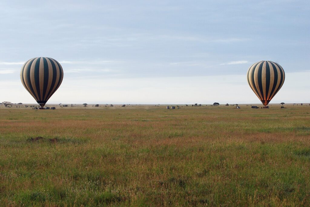 Dos globos de rayas aterrizan a primera hora de la mañana en la llanura verde, con los 4x4 que los siguen