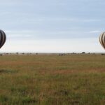 Dos globos de rayas aterrizan a primera hora de la mañana en la llanura verde, con los 4x4 que los siguen