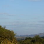 Tres globos amarillos y negros flotan en un cielo azul pálido sobre la sabana verde, con las colinas del cráter en el horizonte
