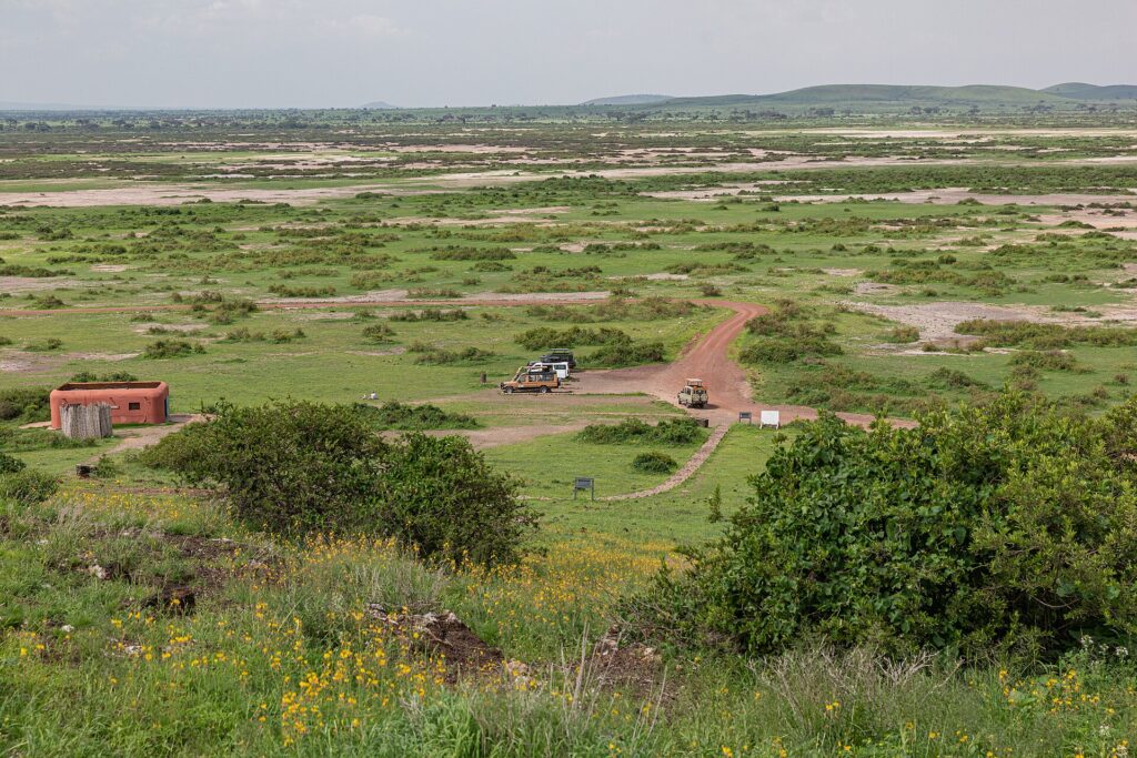 Vista desde Observation Hill de una llanura verde manchada de sal, una pista roja, tres 4x4 estacionados junto a un pequeño edificio ocre y colinas bajas a lo lejos
