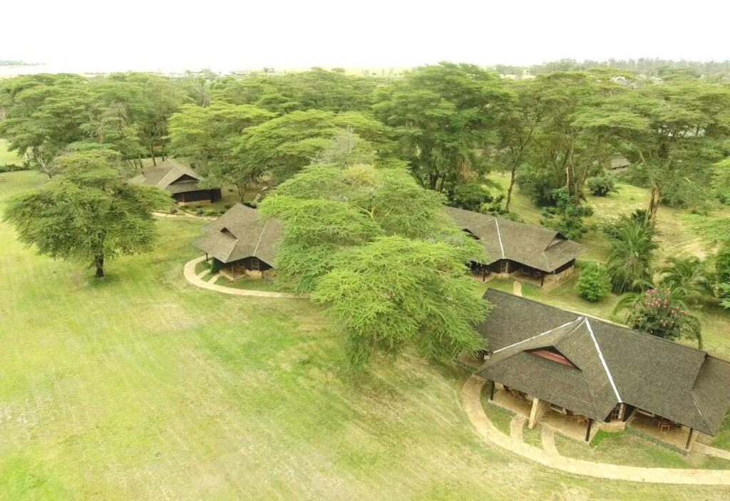 Los techos de paja del Ol Tukai Lodge entre las acacias, en el Parque Nacional de Amboseli