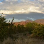 Arbustos verdes y hierbas secas delante de colinas rojas iluminadas por la luz de la tarde, bajo una gran nube