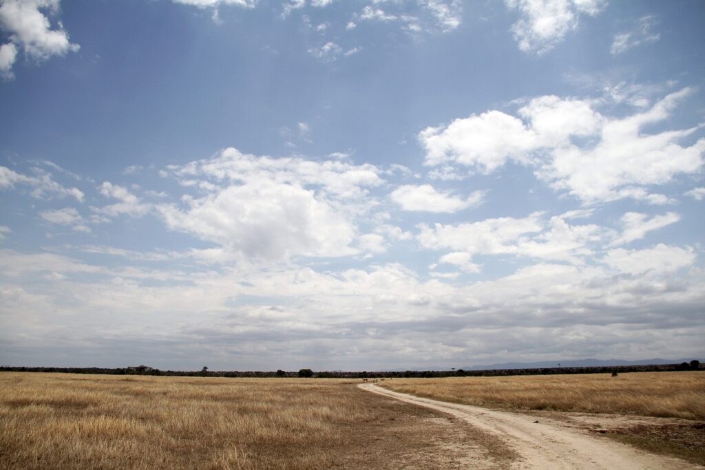 Una pista de tierra clara cruza una llanura de hierba seca bajo un gran cielo azul cargado de nubes, con algunos antílopes a lo lejos y colinas en el horizonte