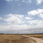 Una pista de tierra clara cruza una llanura de hierba seca bajo un gran cielo azul cargado de nubes, con algunos antílopes a lo lejos y colinas en el horizonte