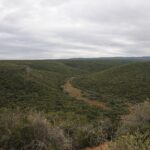 Vista amplia de colinas cubiertas de un matorral verde y cerrado bajo un cielo gris, con un pequeño valle claro y una pista de tierra en el centro