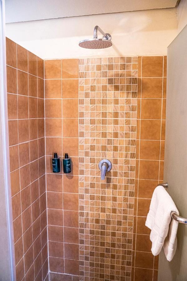 Una ducha de azulejos marrones, con una franja de mosaico, una alcachofa ancha y dos frascos de jabón
