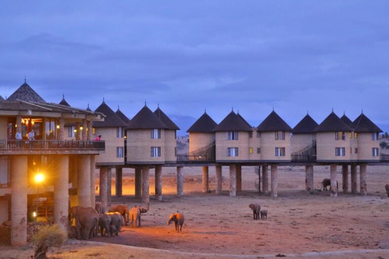 Elefantes al pie del lodge al caer el día, bajo la terraza iluminada y la hilera de torres sobre pilotes
