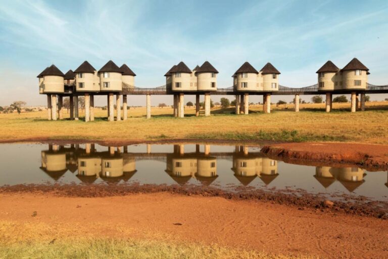 Las torres sobre pilotes del Salt Lick Safari Lodge, unidas por pasarelas, se reflejan en una charca