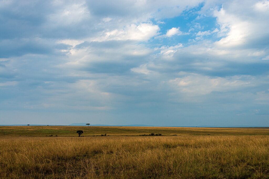 Una llanura de hierbas doradas hasta el horizonte bajo un gran cielo de nubes, con dos acacias aisladas a lo lejos