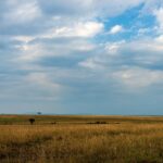 Una llanura de hierbas doradas hasta el horizonte bajo un gran cielo de nubes, con dos acacias aisladas a lo lejos