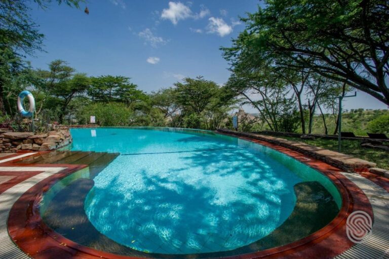 La piscina bajo las acacias, con un salvavidas y un murete de piedra seca