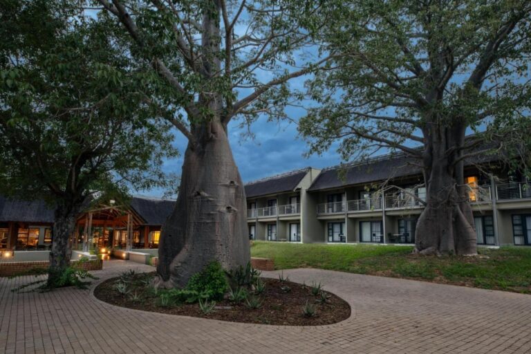 Dos baobabs en el patio empedrado del Skukuza Safari Lodge, delante de las alas de habitaciones, al caer el día