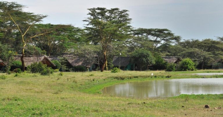 Una charca en la pradera, delante de las tiendas del Sweetwaters Serena Camp entre las acacias