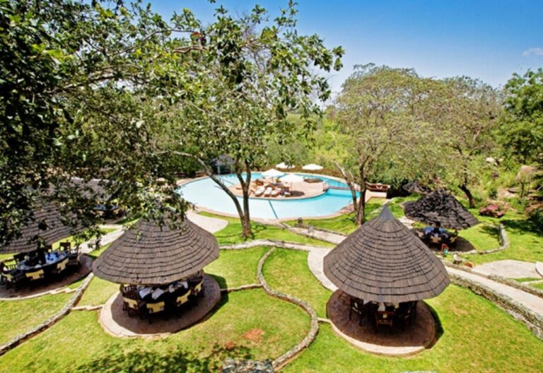 Las palapas con techo de paja alrededor de la piscina, bajo los árboles