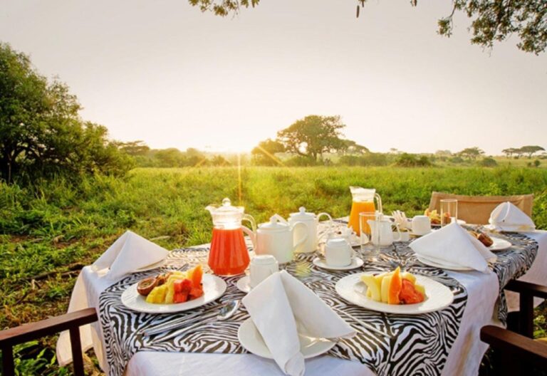 Una mesa de desayuno puesta en una terraza frente a la sabana, al amanecer