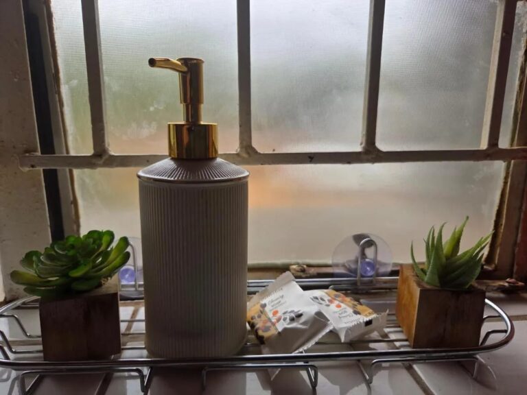 Un dispensador de jabón y dos plantas suculentas en el alféizar de una ventana