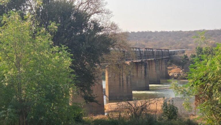Un tren sobre el puente metálico del río Olifants, visto entre los árboles de la orilla