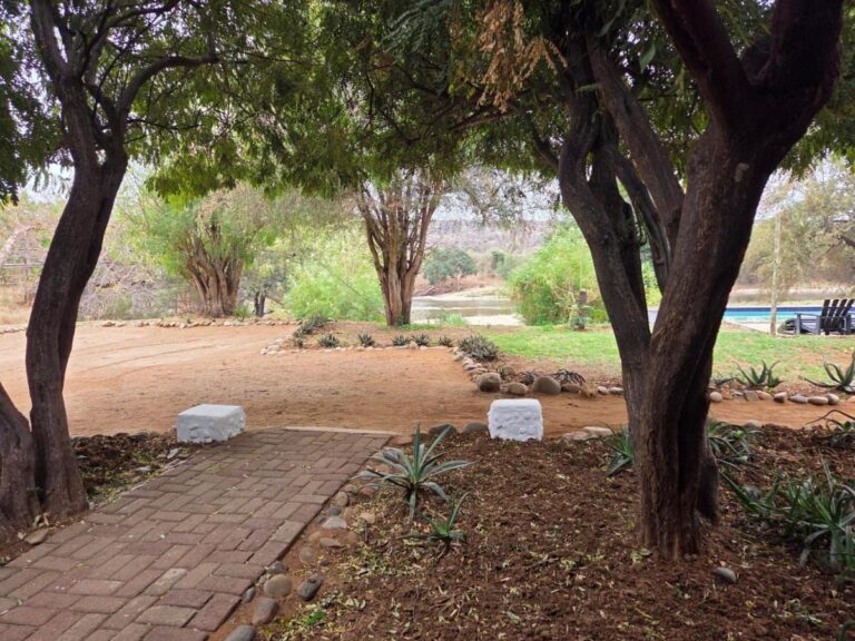 Un camino de ladrillo bajo los árboles del jardín, hacia el césped, la piscina y el río