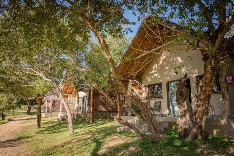 Cabañas con techo de paja bajo los árboles, junto a un camino de arena