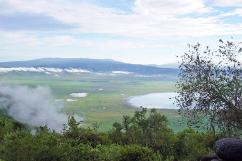 El fondo verde del cráter visto desde el borde, con el lago Magadi y nubes enganchadas a las paredes